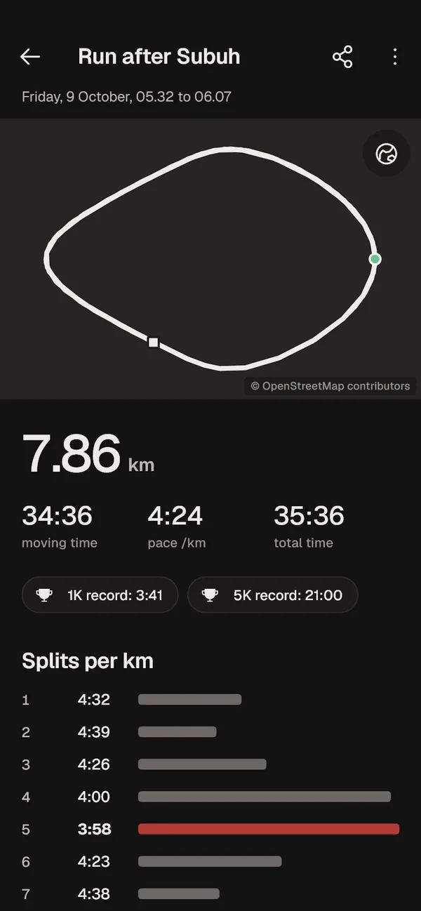 Run detail in dark mode.